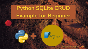 Python SQLite CRUD Example for Absolute Beginner - devzigma