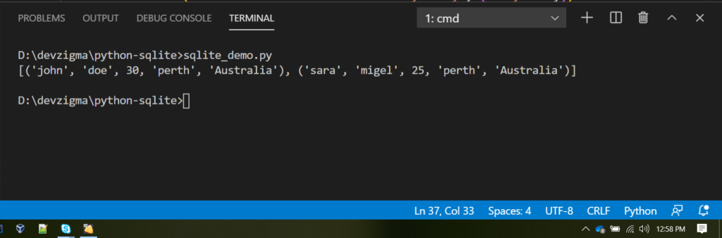 python sqlite crud example get_customers(city) output